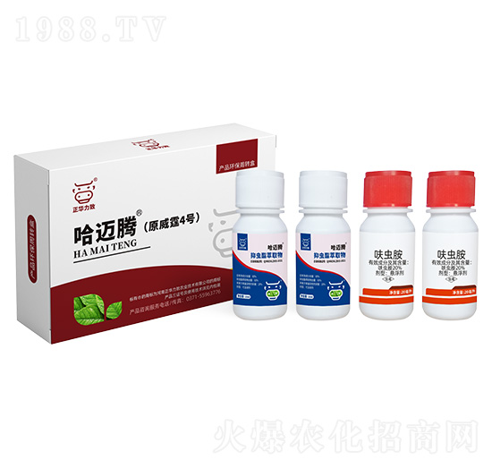 �׷�ʭ��(qi��ng)���M���ײ�-���~�v-���A����