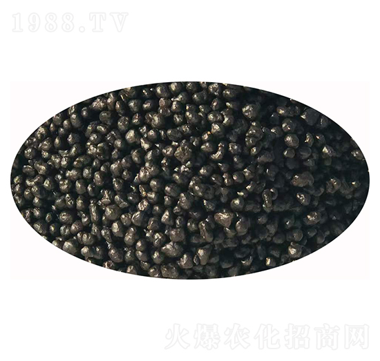 ���{��������-�l(f��)ؔ(c��i)��