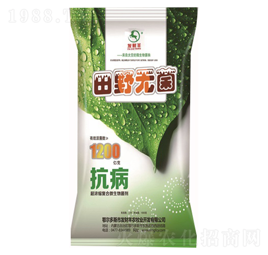 ����s��(f��)��΢�������-��Ұ�o��-�l(f��)ؔ��