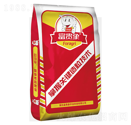 �A�w�������-���F���r�I(y��)