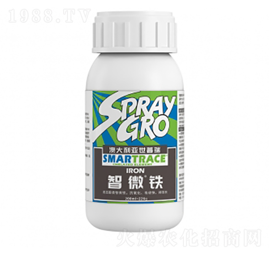 ������-�����ط�