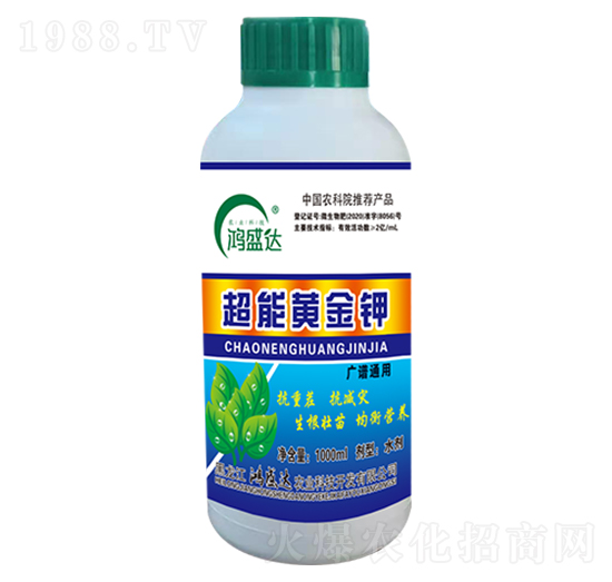 �����S���-��ʢ�_(d��)