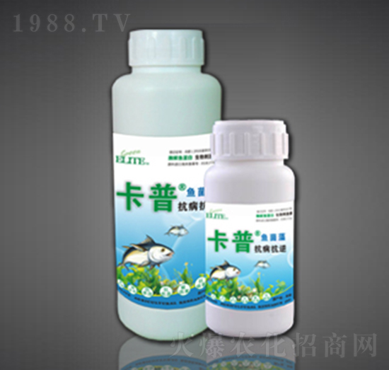 ø���~(y��)�����~����-��������-�G�����