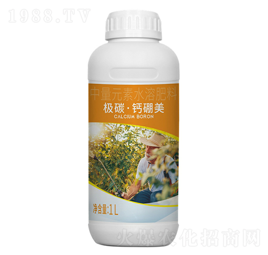 �O̼���}����-�l(xi��ng)ϲ