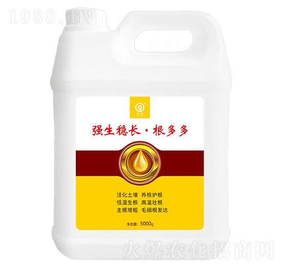 ��(qi��ng)����(w��n)�L(zh��ng)�������-���S�Ƽ�