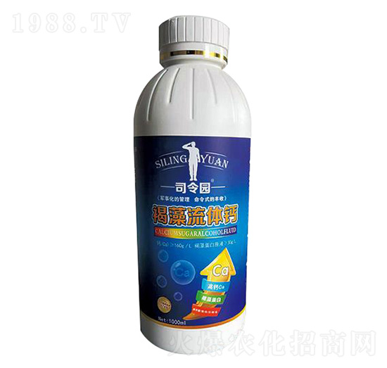 �������w�}-˾��@-�ɿ����ʘI(y��)