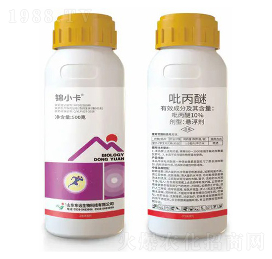 10%�����ёҸ���-�\С��-�|�h����