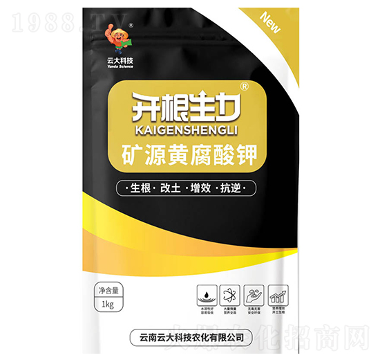 �VԴ�S�����-�_������-�ƴ�Ƽ�