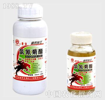 ���r-�������