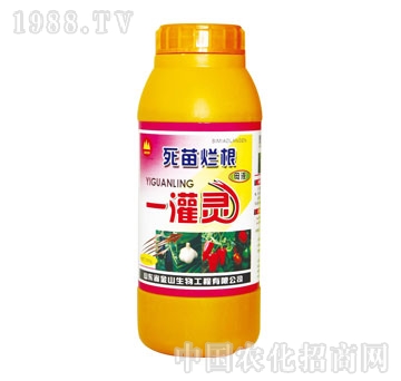 ��ɽ����-���砀��һ��