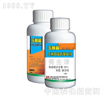 ����-��ڸ�