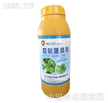 ��ɽ����-�������v��