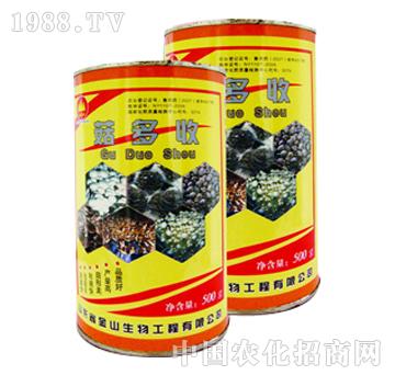 ��ɽ����-������