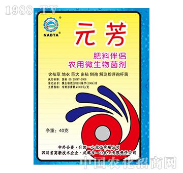 �rˎ΢�������-Ԫ��-