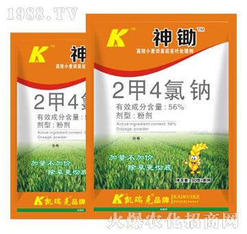 56%2��4���c-���z-�P���