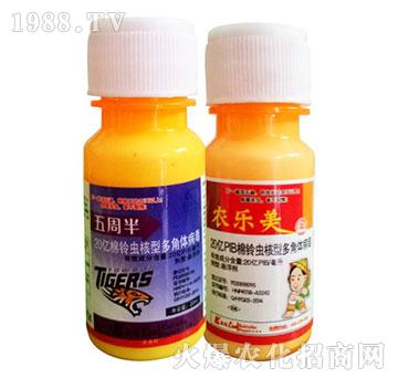 ����x���Ͷ���w����-���ܰ�+�r(n��ng)����-�P���