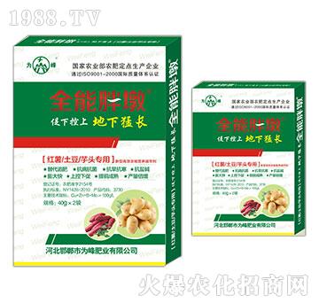 �t�������������^����-