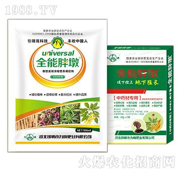 ��ˎ�Č���-ȫ���ֶ�-