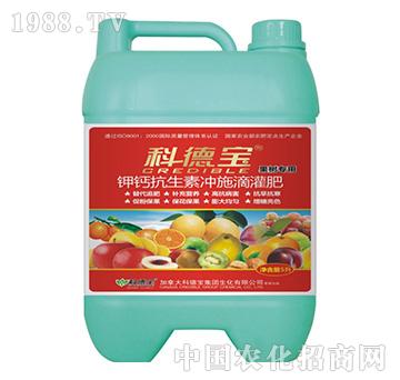 ���䌣�ð�����������_