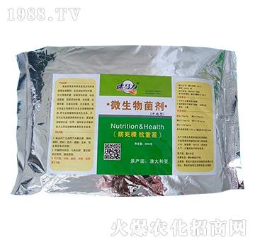 ΢�������-���R��-��