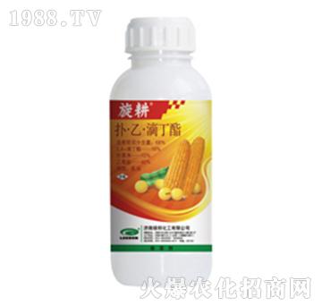 ���ҵζ���-����-�G��