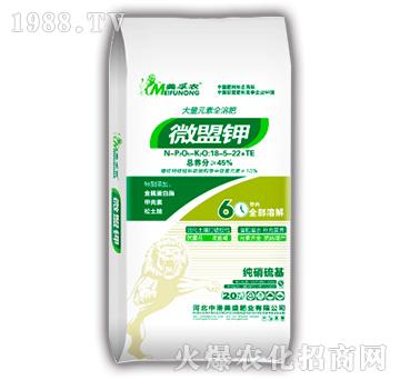 ΢���18-5-22+TE