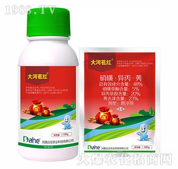 48%���ǡ�������ݬ-