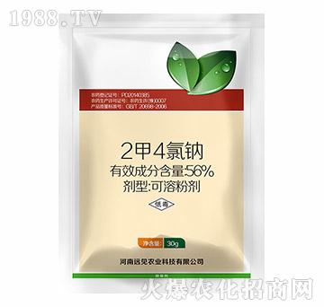 56%2��4���c-�h(yu��n)Ҋ