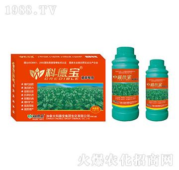 ���݌��àI�B(y��ng)���a(ch��n)�{(di��o)�턩