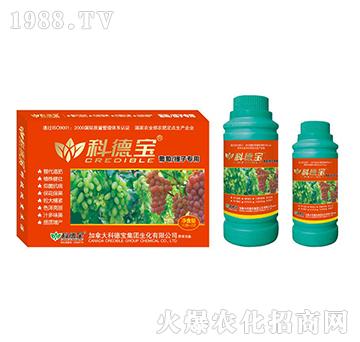 ���������ӌ��àI�B(y��ng)���a(ch��n)