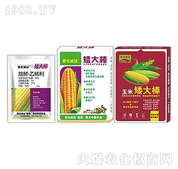 �������L�{(di��o)��(ji��)��-�����-�滯���h(yu��n)