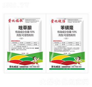 10%���ͪ+10%����¡-�滯����+�J��-�滯���h