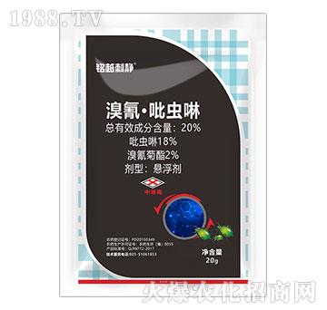 20%���衤���x(ch��ng)��-�Խ���o