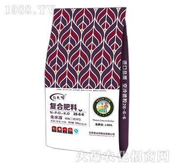 ���������͏�(f��)�Ϸ���28-6-6-�R���