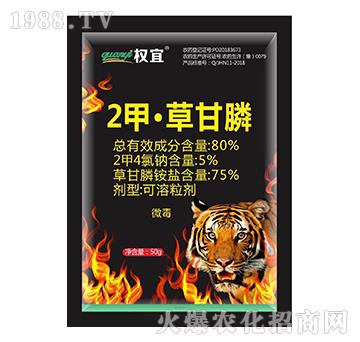 80%2�ס��ݸ��-��(qu��n)��-�Z��