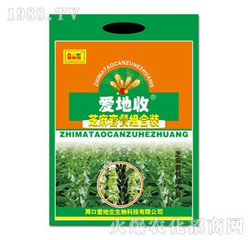 ֥���ײͽM���b-��(��i)����-��(��i)����