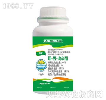 44%����ݬ��������-����-�P������