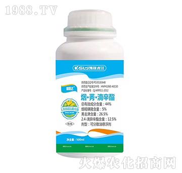 44%����ݬ��������-��˼�_-�P������