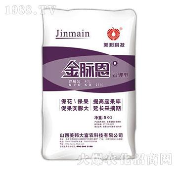 ���}�������-����Ƽ�