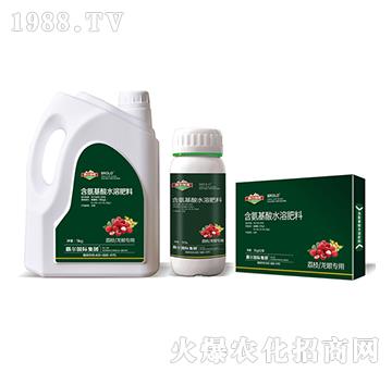 ��֦�����ی��ú�������