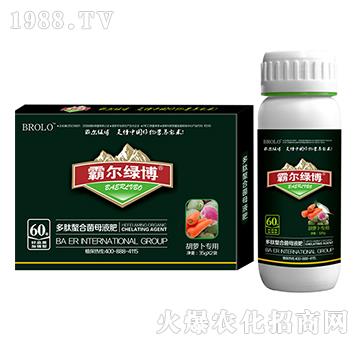 ���}�����ö������Ͼ�ĸ