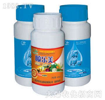 ����(l��)��+��⛎�-�G��֮��