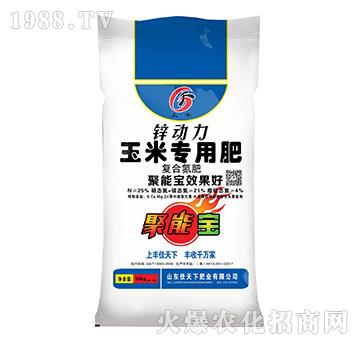 ���׌��÷�-�\����-��