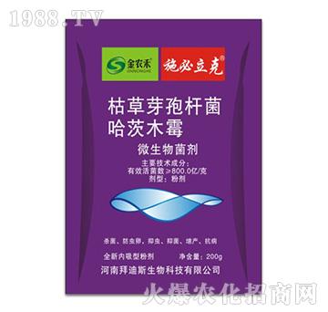 ��ɫ���b΢�������-ʩ������-�ݵ�˹