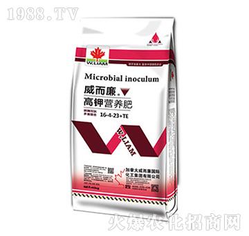 ��⛠I(y��ng)�B(y��ng)��16-4-23+TE-������