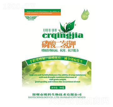 ��������-��������