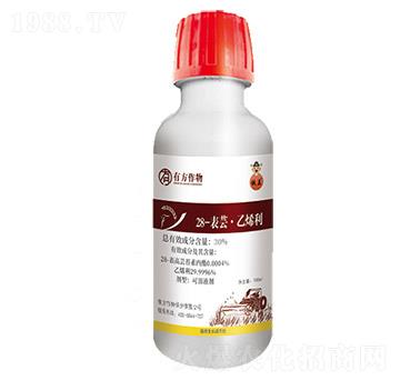 28-�����|̦�؃���-�з�����-�з�����