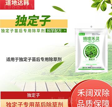 ��(d��)���ӳ��݄�-��(d��)������