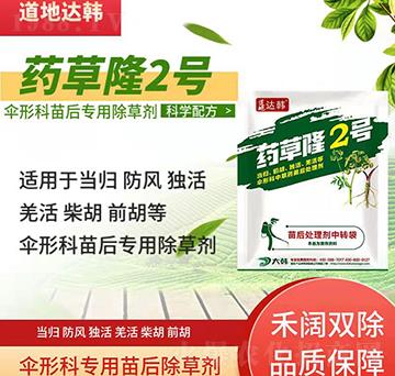 ���οƳ��݄�-���ο���