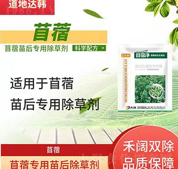 ��ޣ����݄�-��ޣ���